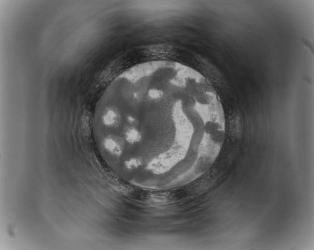 X0000098190757200805221517