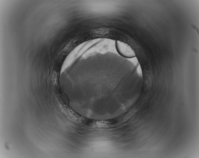 X0000098190758200805221517