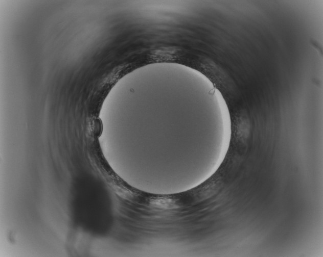 X0000098190759200805221517