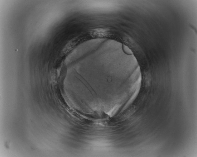 X0000098190760200805221517