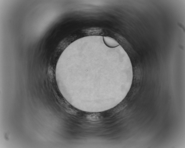 X0000098190761200805221517