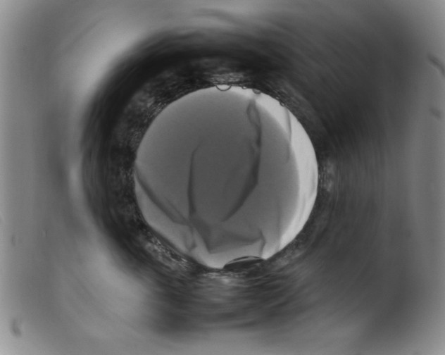 X0000098190763200805221517