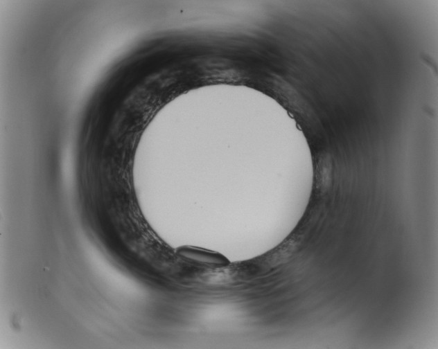 X0000098190764200805221517