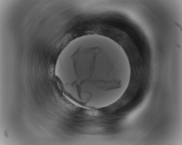 X0000098190767200805221517