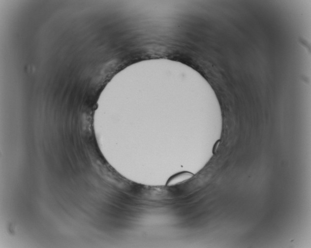 X0000098190768200805221517