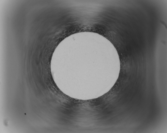 X0000098190769200805221516