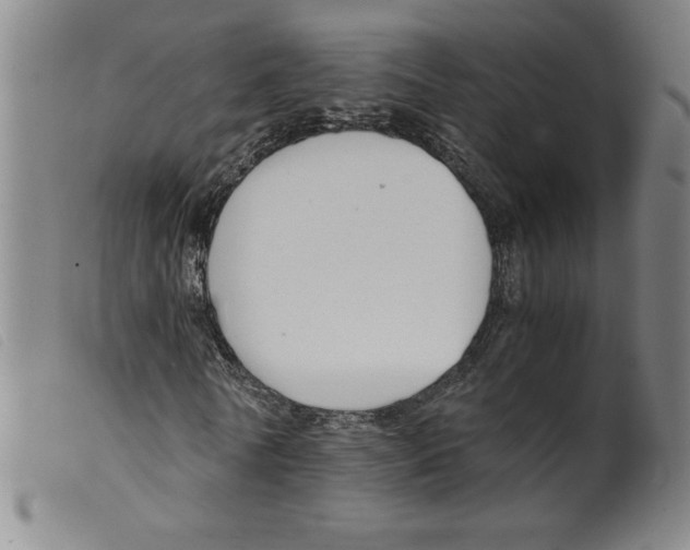 X0000098190770200805221516