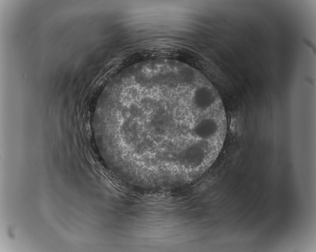 X0000098190771200805221516