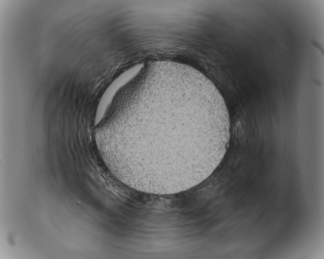 X0000098190772200805221516