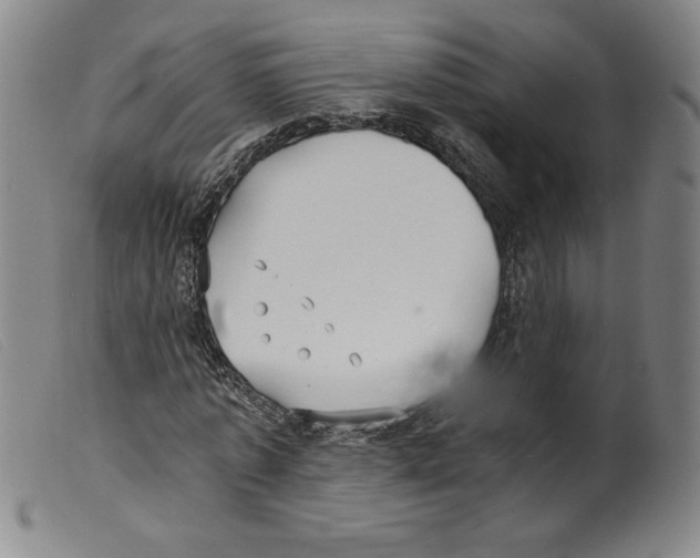X0000098190773200805221516
