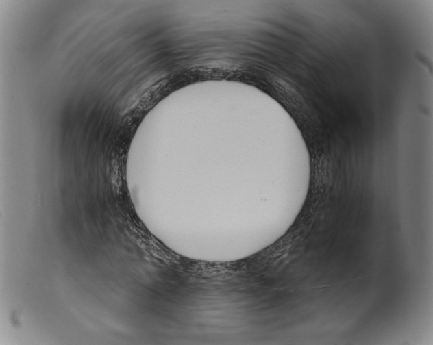 X0000098190774200805221516