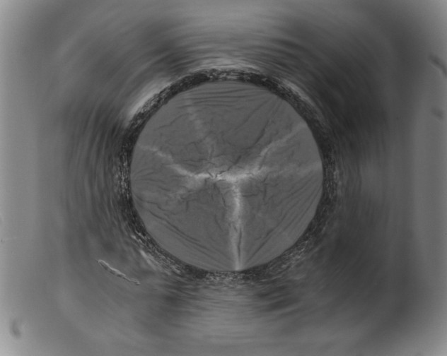 X0000098190775200805221516