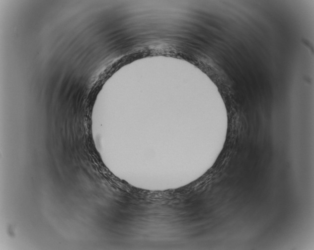 X0000098190776200805221516