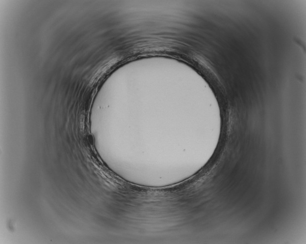 X0000098190777200805221516