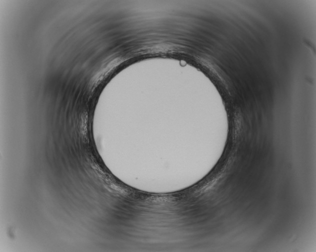 X0000098190778200805221516