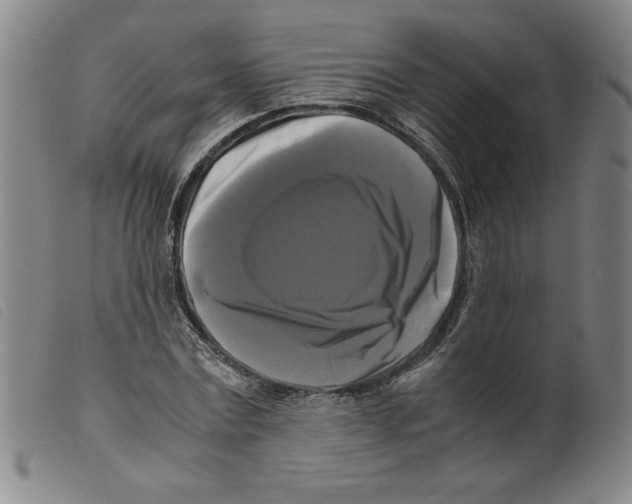 X0000098190779200805221516