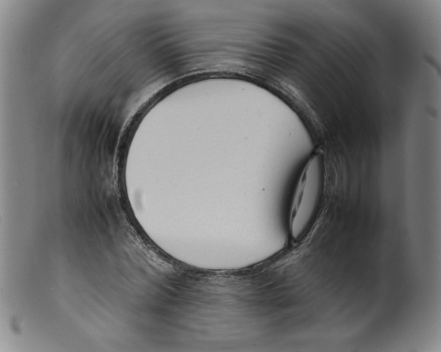 X0000098190780200805221516