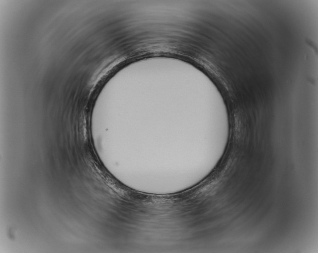 X0000098190782200805221516