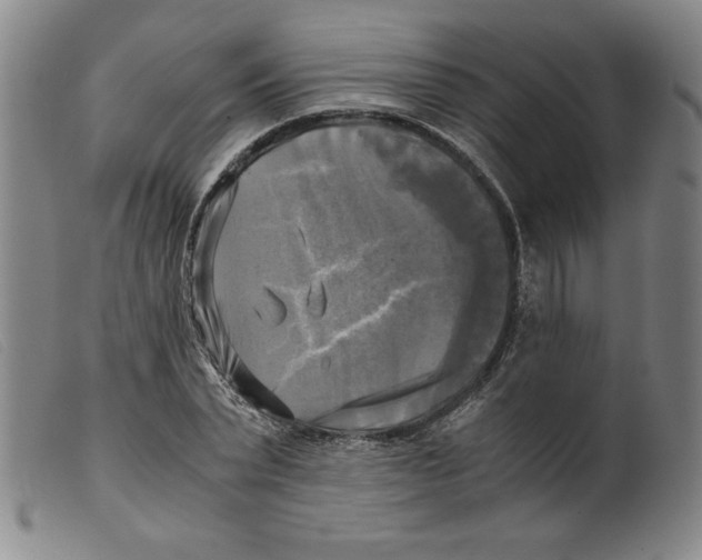 X0000098190783200805221516