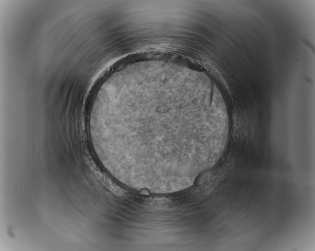 X0000098190784200805221516