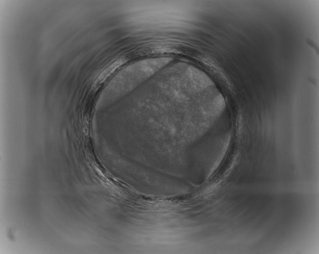 X0000098190785200805221516