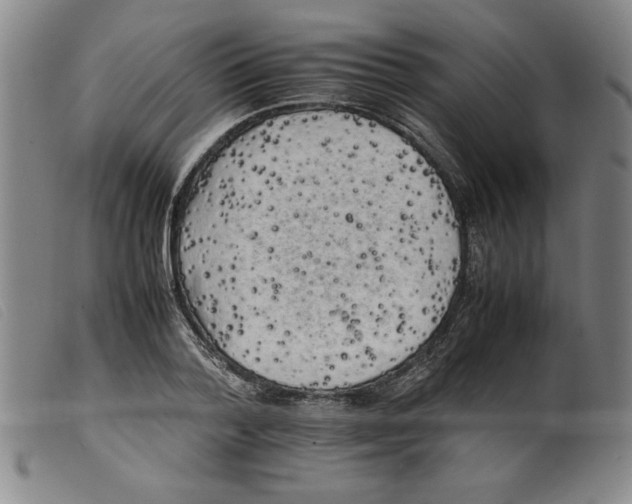X0000098190788200805221516