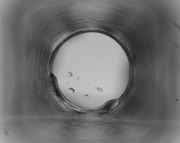 X0000098190789200805221516