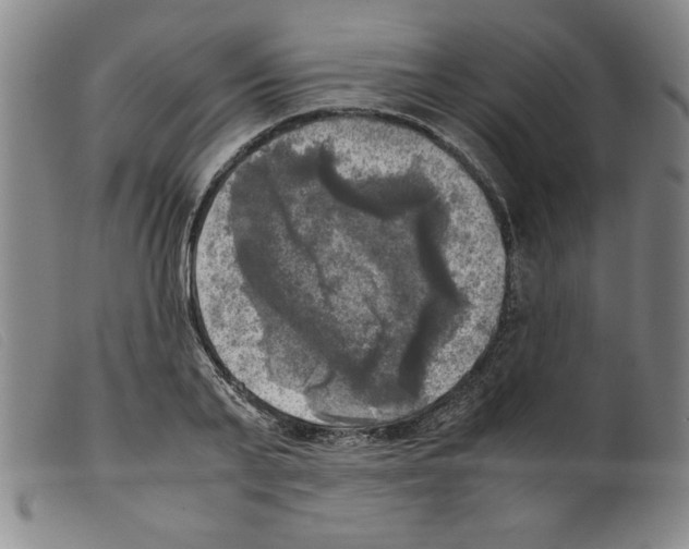 X0000098190791200805221516