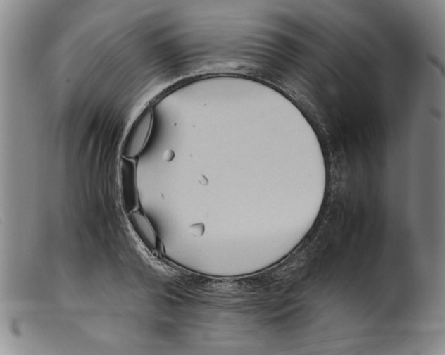 X0000098190792200805221516