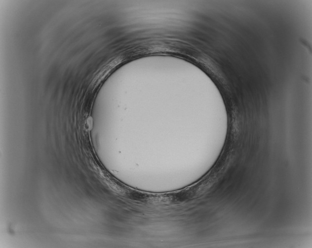 X0000098190793200805221516