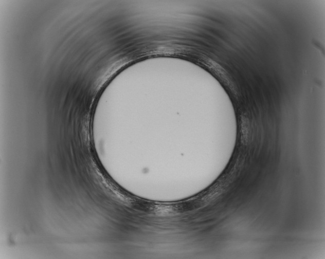 X0000098190794200805221516