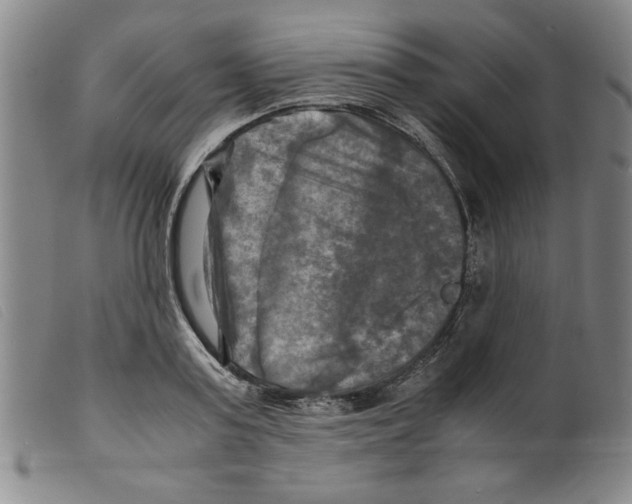 X0000098190795200805221516