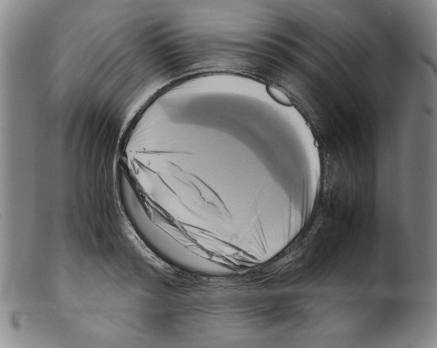X0000098190796200805221516
