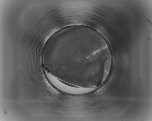 X0000098190797200805221516