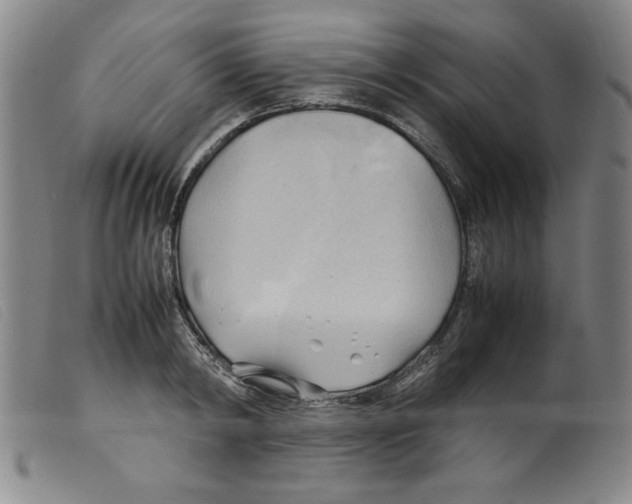 X0000098190798200805221516