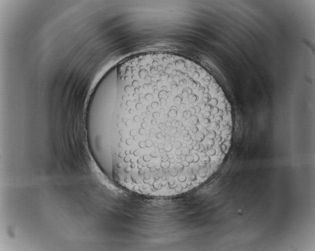X0000098190800200805221516