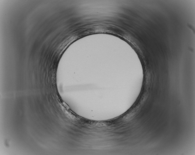 X0000098190801200805221516