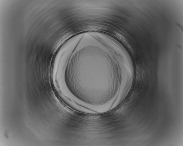 X0000098190802200805221516