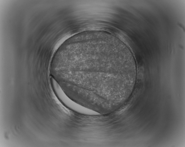 X0000098190803200805221516