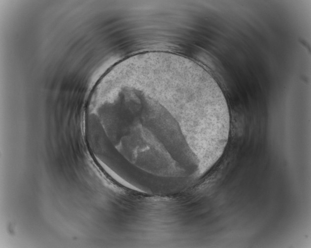 X0000098190804200805221516