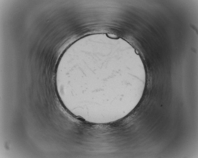 X0000098190805200805221516