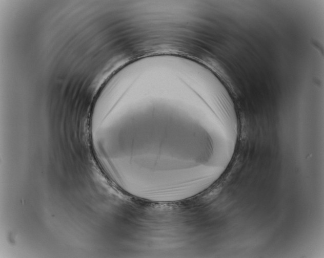 X0000098190806200805221516
