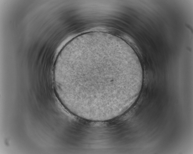 X0000098190808200805221516