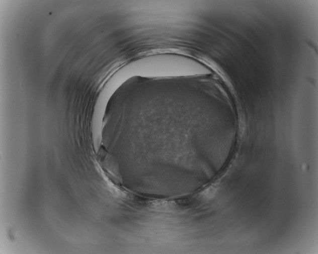 X0000098190809200805221516