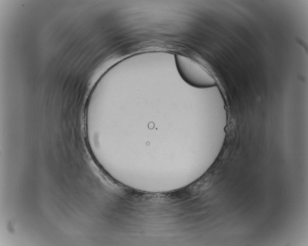 X0000098190811200805221516