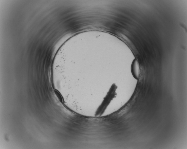 X0000098190812200805221516