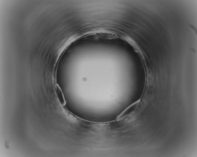 X0000098190813200805221516