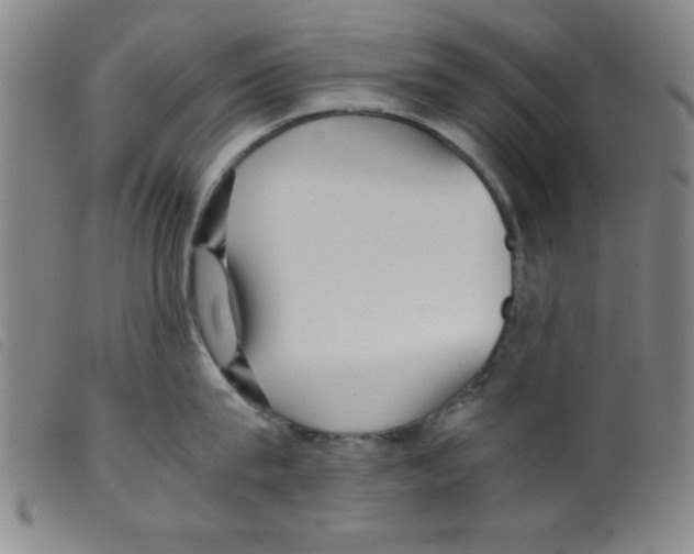 X0000098190815200805221516