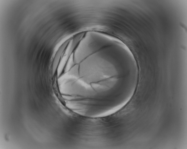 X0000098190816200805221516