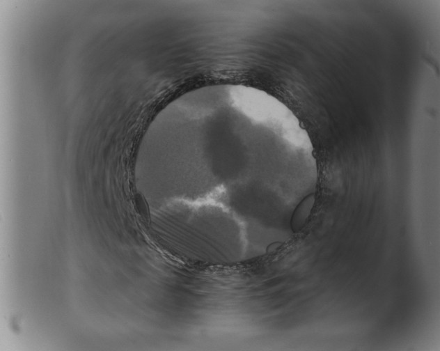 X0000098190817200805221515